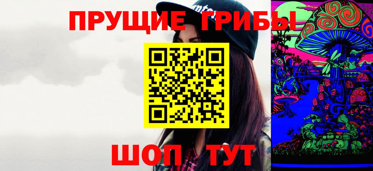 Галлюциногенные грибы Psilocybe Глазов