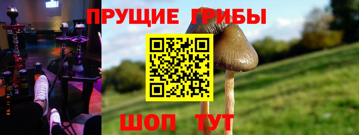 Галлюциногенные грибы мицелий  Вход с VPN  Глазов 